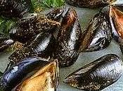 Mitili molluschi, consigli casalinghi