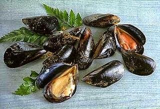 Mitili e molluschi, consigli casalinghi