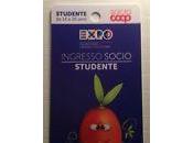 Latest Expo 2015 auctions