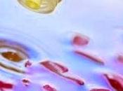 Detersione essenziali