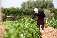 Tenuta Moreno Masseria & SPA, presenta i suoi Pacchetti Autunnali nel Salento