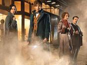 prime immagini animali fantastici: dove trovarli, spin-off Harry Potter