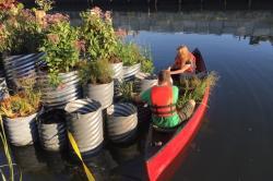 La fitodepurazione con un oasi galleggiante sul canale