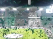 (VIDEO)Nice effect Borussia Moenchengladbach's fans #UCL Juventus 3.11.2015