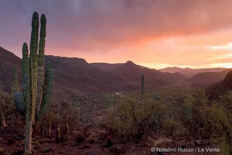 Parte la nuova spedizione La Venta nel deserto della Baja California – Messico