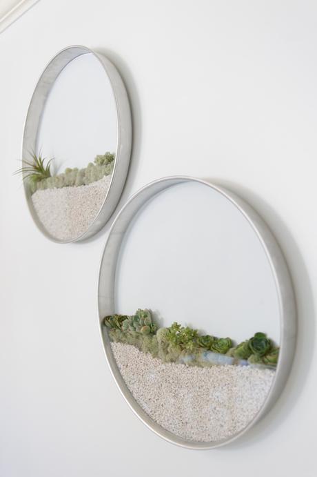 DESIGN: Le piante incorniciate di Kim Fisher