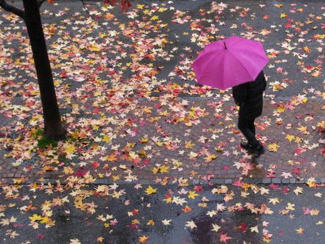 sfida fotografica colori d'autunno