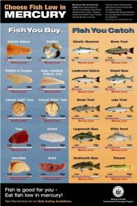Quale pesce contiene più mercurio?