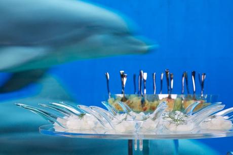 Acquario di Genova: beach wedding tutto l’anno