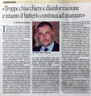 «Troppe chiacchiere e disinformazione e intanto il batterio continua ad avanzare»