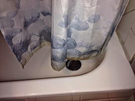 Materassi, scantinati e stanza da bagno con muffa: consigli casalinghi