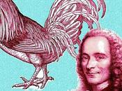 Voltaire, “Dialogo cappone della pollastra” (1763)
