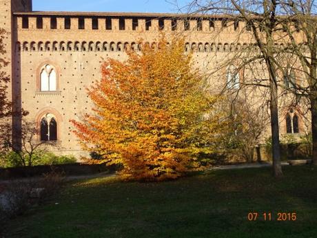 PAVIA; GIANCARLO PASTORE (61)