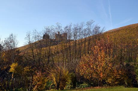 Diano d'Alba (Langhe)