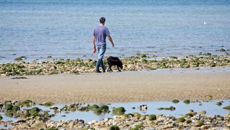 man-dog-walking-on-beach