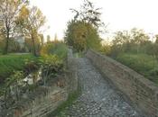 Passeggiate d'autunno