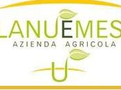 Visita all’Azienda Agricola “Planu Mesu”