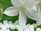 principi trattamento Omeopatico