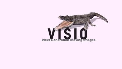 Alla Strozzina, VISIO Next Generation Moving Images