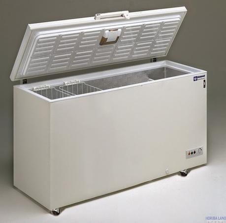 Odori sgradevoli nel congelatore