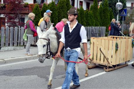 desmontegada fiera di primiero