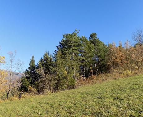 Rocchetta Ligure (AL)