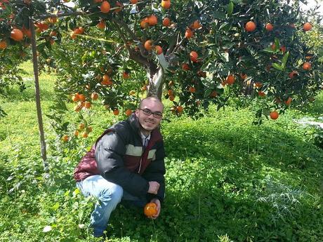 Arance: il giusto periodo di raccolta ed il segreto della loro naturale dolcezza