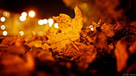 Perdona e dimentica. Come le foglie in autunno...