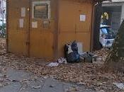 PAVIA. Faldini: sfratto Lilly luna accanimento politico tutto immotivato".