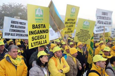 PARABIAGO (mi). Domani ci saranno gli allevatori lombardi con le mucche: la guerra si estende dalle industrie ai supermercati.