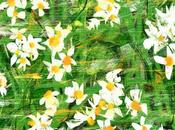 narciso fiore parla