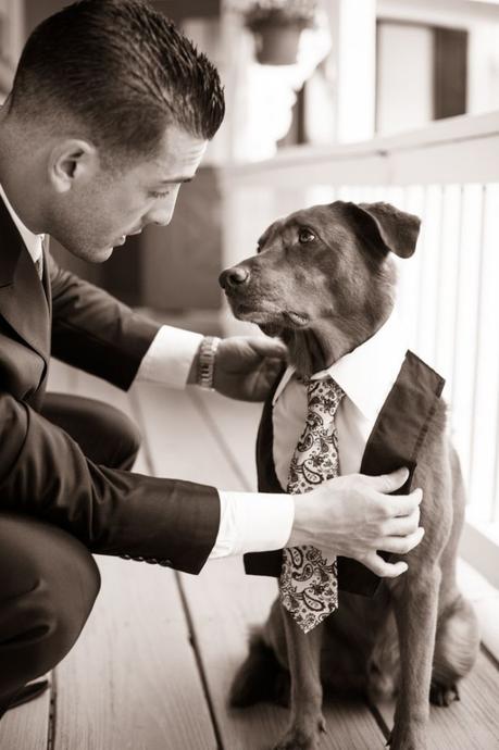 Wedding dog: tante idee per il suo outfit!