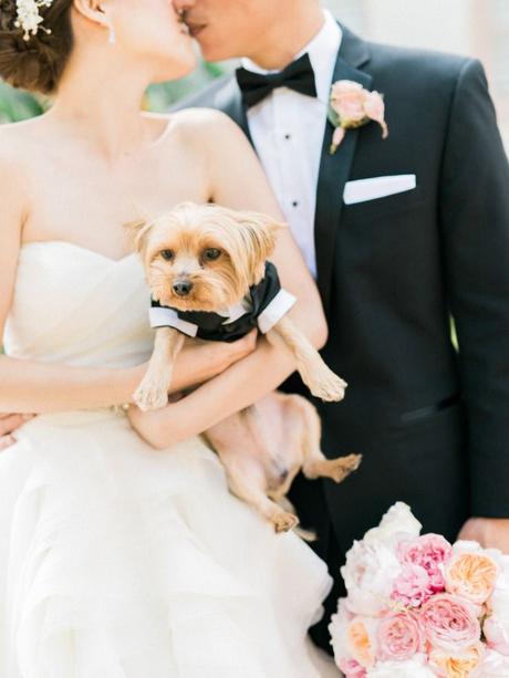 Wedding dog: tante idee per il suo outfit!