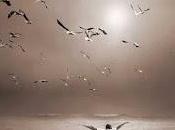 Psicopittografia, Nessuno definitivamente perduto