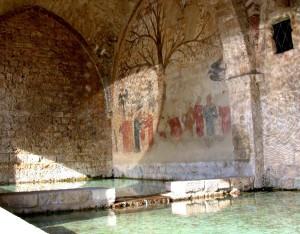 L’Albero della fecondità di Massa Marittima