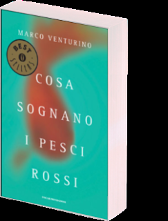 Cosa sognano i pesci rossi (9)