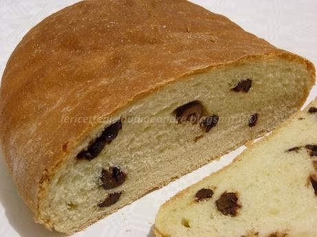 Pane tipo ciabatta con olive nere