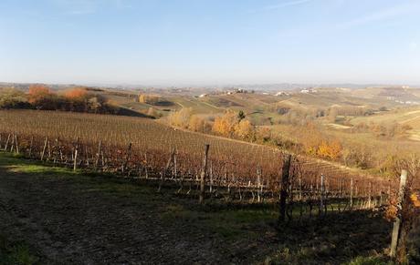 Astigiano, terra da vino