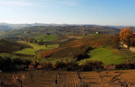 Astigiano, terra da vino