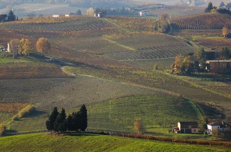 Astigiano, terra da vino