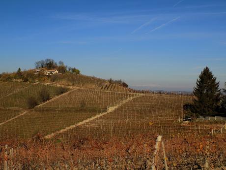 Astigiano, terra da vino