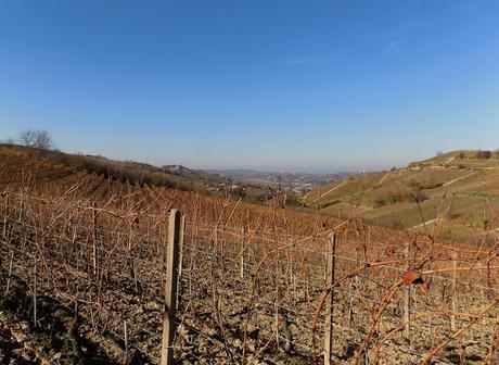 Astigiano, terra da vino