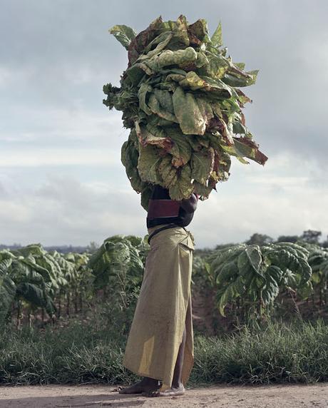 Marni AW 15 AD by Jackie Nickerson