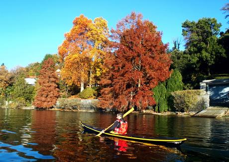 Sunny lakeside Sunday