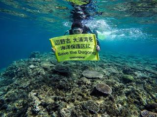 Il Giappone nega alla Rainbow Warrior il permesso di invetigare sull'habitat degli ultimi dugonghi