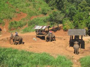 A spasso con gli elefanti a Chiang Mai