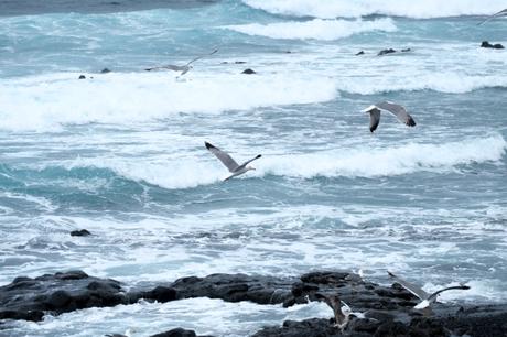 Canarie: le quattro spiagge più belle di Lanzarote