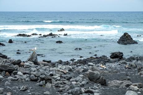 Canarie: le quattro spiagge più belle di Lanzarote