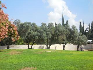 Rehovot: l'Istituto Weizmann delle Scienze