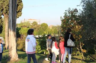 FOGLIE-  passeggiata autunnale con laboratorio a Padenghe